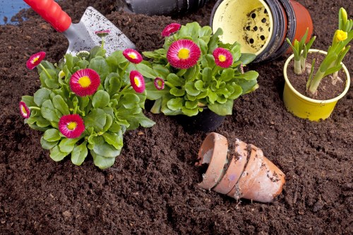 Gardeners sorting green waste at a client's garden, ready for recycling