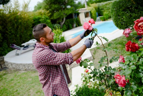 Professional tree lopping service in Barnet
