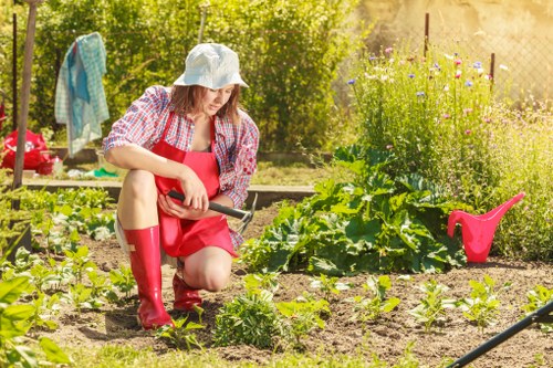 A woman wearing a sun hat, red apron, and matching red rubber boots is crouching in a garden, tending to young vegetable plants in neat and orderly rows on a soil bed. The garden features a mixture of green leafy vegetables and flowering plants, with the soil appearing well-maintained and free of weeds. In the background, there are taller flowering plants and shrubbery, as well as garden tools such as a pink watering can placed nearby. The scene is illuminated by natural sunlight, suggesting a bright and clear day, and is set in a typical outdoor space associated with residential gardening services in Barnet. The overall environment shows a well-kept, productive, and vibrant garden designed for both aesthetic appeal and vegetable cultivation, reflecting professional gardening and landscaping practices.