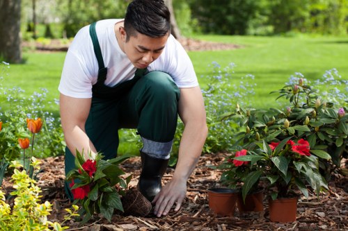 Wheelchair-accessible garden entrance and raised planting beds