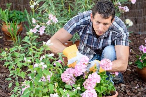 Professional garden maintenance service in Barnet